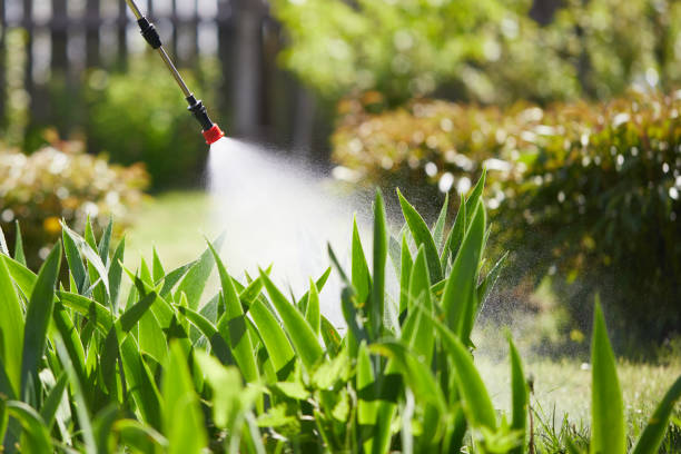 Tamper-Resistant Bait Stations for Rodents in Beloit