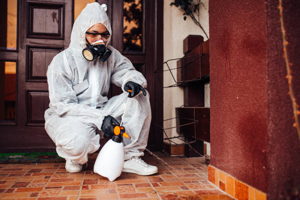 Attic and Crawl Space Rodent Treatment in Beloit
